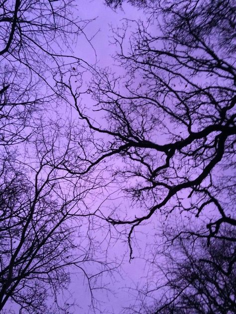 Aesthetic | Purple | Dark Purple Skies, Violet Aesthetic, Yennefer Of Vengerberg, Purple Vibe, Catty Noir, Lavender Aesthetic, Rainbow Aesthetic, Purple Walls, Purple Love