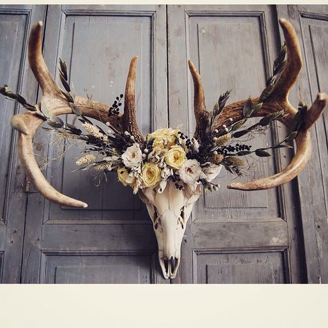 Deer skull with preserved floral crown in shades of buttercream, white, sage, wheat, silver, & navy. Materials have been professionally preserved, leaving them soft and supple, just as when they were living, with no wilting or fading. They last for many years with little to no maintenance (a little dusting from time to time) This deer lost its life during the droughts in west Texas 2 years ago. I do my best to honor the lives of the animals' bones that I use when I incorporate them into one ... Antler Ideas, Deer Antler Decor, Antler Crafts, Deer Horns, Antler Art, Hunting Decor, Deco Nature, Deer Decor, Deer Skull