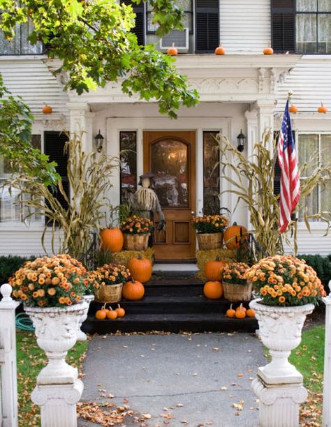 Think beyond the stoop and line the front walk with pumpkins, mums and stalks of corn. Don't forget up top either. Mini gourds on ledges put a seasonal spin on traditional window boxes. Fall Window Boxes, Diy Halloween Dekoration, Outdoor Fall Decor Ideas, Dekorasi Halloween, Fall Windows, Outside Fall Decor, Porte Decorate, Diy Outdoor Decor, Autumn Decorating