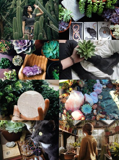 Nature Witch Aesthetic, Secret Witch, Healing Witch, Green Witch Aesthetic, Witch Aesthetics, Steampunk Witch, Celestial Witch, Crystal Witch, Nature Witch