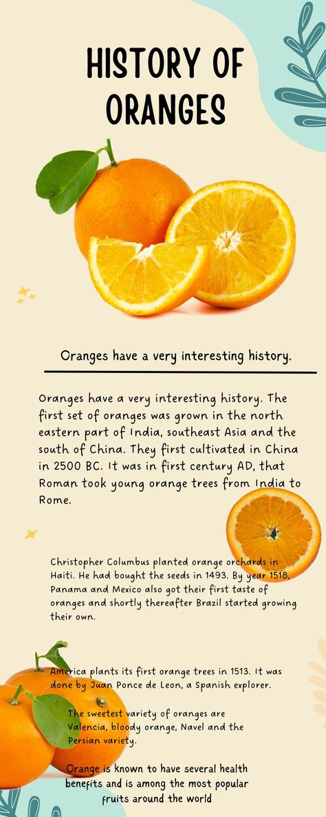 Benefits Of Oranges, Meaningful Quotes About Life, Medical Facts, Cooking Hacks, All Fruits, Citrus Fruits, Orange Tree, Orange Fruit, Interesting History