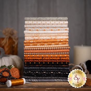 Pumpkin Licorice Fabric & Precuts from Andover Fabrics Halloween Motifs, Pencil Coloring, Shades Of Cream, Traditional Halloween, Fabric Outlet, Fabric Stores, Scrappy Quilt Patterns, Moda Fabric, Birdhouse Designs