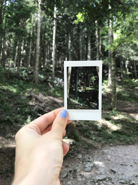 Taking polaroids in the forest Polaroid Pictures Nature, Nature Polaroids, Forest Polaroid, Electric Forest, Polaroid Frame, Polaroid Pictures, Paper Crafts Diy Kids, In The Forest, Book Aesthetic