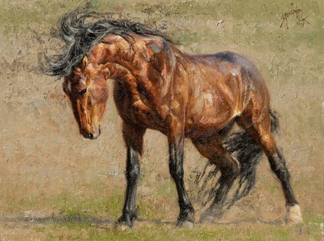 Greg Beecham, Ready to Rumble, oil, 9 x 12. Greg Beecham, Horse Study, Horsey Life, Sketchbook Challenge, Greek Paintings, Art Magazine, Southwest Art, Daily Painting, Equine Art