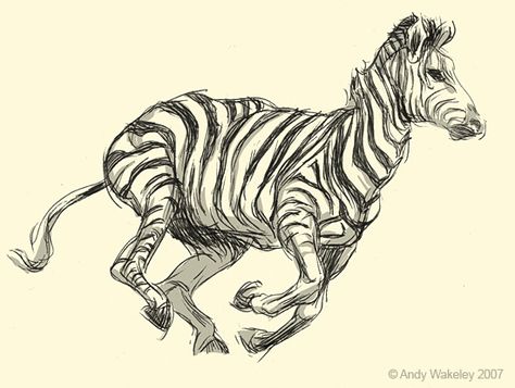 zebra Zebra Sketch, Zebra Drawing, Zebra Illustration, Zebra Art, Animal Sketches, Illustrator Tutorials, Zoo Animals, Various Artists, Illustration Drawing