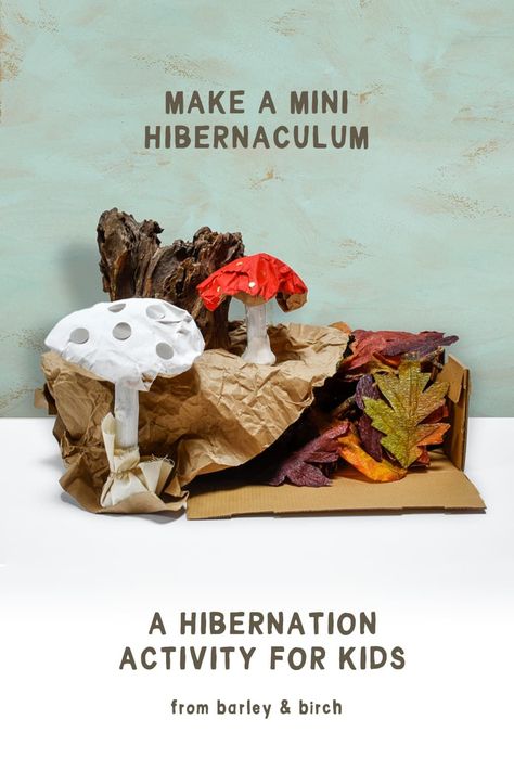 Make a tabletop play hibernaculum to help kids learn about the different ways animal species hibernate for the winter. A great late fall or early winter indoor nature activity for kids. | from barley & birch November Nature Activities, Mushroom Activities For Toddlers, Winter Nature Study, Hibernation Crafts For Kids, Mushroom Activities For Kids, Winter Nature Activities, Mushroom Crafts For Kids, Winter Nature Crafts, Autumn Waldorf