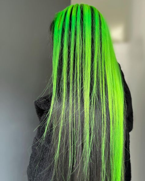 #greenhair #hair #halloweenhair Green Black Hair Color, Black And Neon Green Hair, Loki Hair, Green Black Hair, Purple And Green Hair, Black And Green Hair, Neon Green Hair, Black Roots, Black Highlights