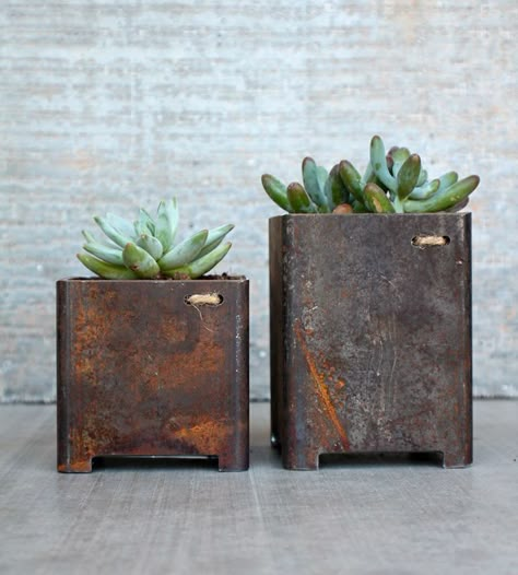 Deco Nature, Metal Planters, Square Garden, Cacti And Succulents, Plant Life, Garden Planters, Planting Succulents, Garden Inspiration, Garden Pots