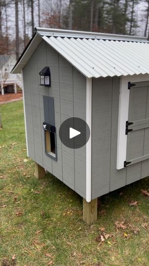 Small Chicken Coop Diy, Easy Diy Chicken Coop, Small Chicken Coops, Backyard Flocks, Easy Build, Dutch Door, Diy Chicken Coop, Chicken Diy, Nesting Boxes