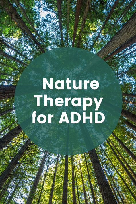 Recently, I was diagnosed with Adult Inattentive Attention Deficit/Hyperactivity Disorder (ADHD). Of course, upon learning this new cool thing about myself, I wanted to investigate if there was any research on how nature therapy and nature connections could help with symptoms of ADHD. Connecting To Nature, Nature Therapy, Study Related, Attention Deficit, Improve Concentration, Home Design Plan, About Myself, Urban Area, Walking In Nature