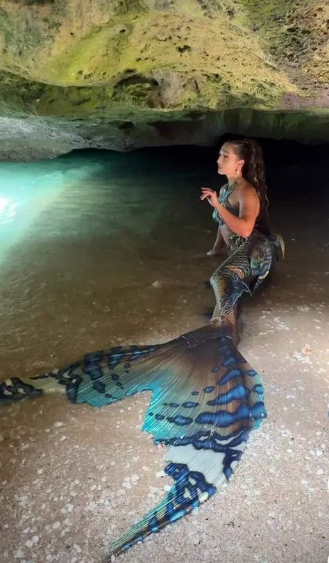 Mythical Water Creatures, Siren Tail, Professional Mermaid, Realistic Mermaid, Mermaid Pose, Mermaid Photography, Mermaid Man, Mermaid Cove, Siren Mermaid