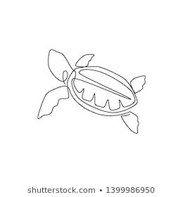 Draw Turtle, Element Tattoo, Big Turtle, Turtle Images, One Line Tattoo, Turtle Tattoo Designs, Small Tattoos Simple, Single Line Drawing, Minimalist Drawing