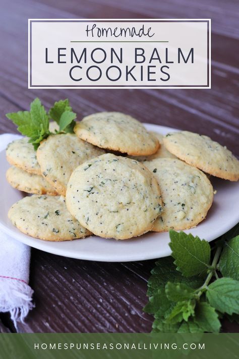 Bake up sweet and tender cookies full of your homegrown herbs with these easy to whip up lemon balm cookies! Lemon Balm Shortbread Cookies, Lemon Balm Cookies, Recipes With Lemon Balm, Lemon Basil Cookies, Floral Baked Goods, Lemon Balm Recipes Food, Cookies With Herbs, What To Do With Lemon Balm, Herb Desserts