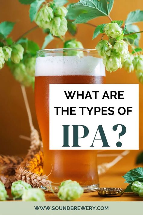 India Pale Ale, or IPA, is a popular beer style known for its unique brewing process and bitter taste. The hoppy flavor of IPAs defines typical Indian pale ales, yielding a wonderfully balanced flavor that is a favorite on the craft beer scene. | What Is the Difference in IPA Beers? | Types of IPA Beers | What’s the Most Popular IPA? | How to Choose a Great-Tasting IPA | #ipa #craftbeer #beer #craftbeerlife Ipa Recipe, Homemade Alcohol, Popular Beers, Homebrew Recipes, Ipa Beer, Brewing Process, India Pale Ale, Pale Ale, Home Brewing