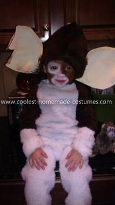 Coolest Gizmo Costume 2: I decided to make my son a Gizmo costume because it was one of his new favorite movies. I purchased faux fur from Joanns in brown and white. First I made Gizmo Costume, Spooky Halloween Costumes, Homemade Costumes, Diy Costume, Halloween Costumes For Girls, Diy Costumes, Family Activities, Spooky Halloween, Halloween Ideas