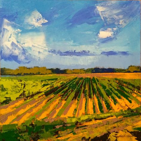 Mary Gilkerson, Painted Landscapes, Digital Gallery, Painting Reference, Cotton Fields, Farm Field, Landscape Abstract, Historical Painting, Rural Scenes