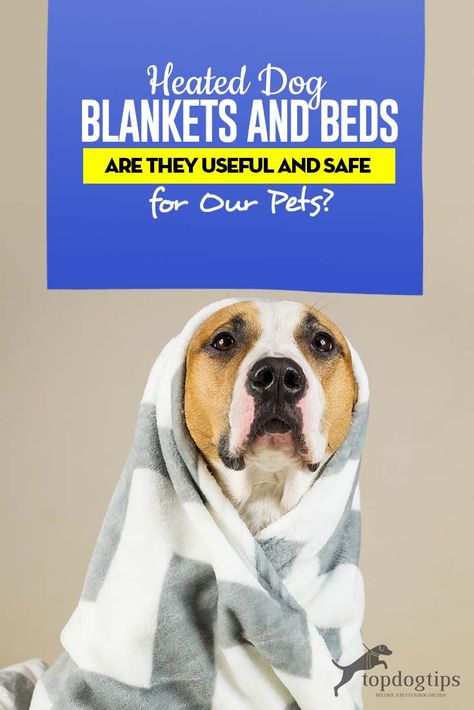 Guide on Heated Dog Blankets and Beds - Are They Useful and Safe for Our Pets Dog House Heater, Heated Dog Bed, Cheap Dog Beds, Dog Blankets, Cool Dog Houses, Cheap Dogs, Dog Tips, Cool Dog Beds, Be Dangerous