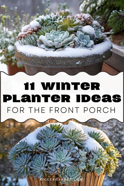 Explore 11 simple winter planter ideas designed to brighten up your front porch. With creative ways to arrange winter foliage, berries, and evergreen plants, these planters bring warmth and beauty to cold months, making a welcoming statement for guests. Discover festive ideas that add color and charm all season long. Winter Planter Ideas, Winter Planters, Winter Planter, Garden Planner, Planter Ideas, Romantic Garden, A Garden, Front Porch, Outdoor Spaces