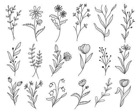 Free Vector | Set of botanical leaf doodle wildflower line art Leaves Doodle, Wildflower Drawing, Hand Drawn Leaves, Floral Doodle, Drawn Flowers, Flower Outline, Line Flower, Doodle Illustration, Hand Drawn Flowers