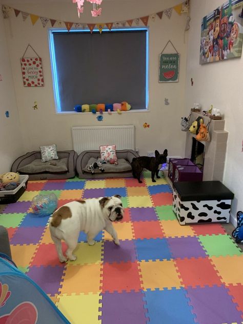 Flooring For Bedrooms, Dog Play Room, Dog Bedroom Decor, Dog Room Design, Dog Daycare Business, Dog Play Area, Hotel Pet, Dog Room Decor, Dog Bedroom