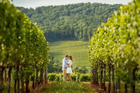 Top 10 Engagement Session Locations | Charlottesville, VA Vineyard Engagement Photos, Aaron Watson, Save The Date Pictures, Engagement Photography Poses, Couple Engagement Pictures, Charlottesville Wedding, Engagement Shots, Charlottesville Virginia, Charlottesville Va