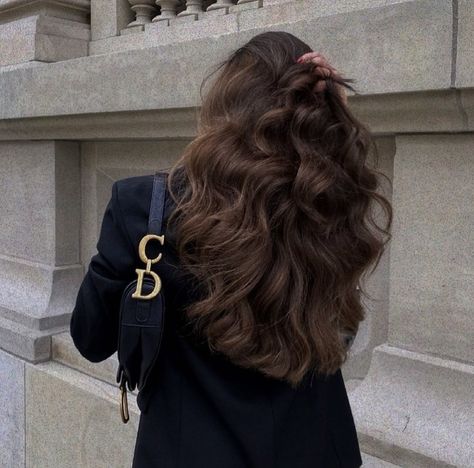 Healthy Shiny Hair, Brown Hair Looks, Brown Hair Inspo, Long Brown Hair, Dream Hair, Shiny Hair, All Hair Types, Aesthetic Hair, Mode Inspiration