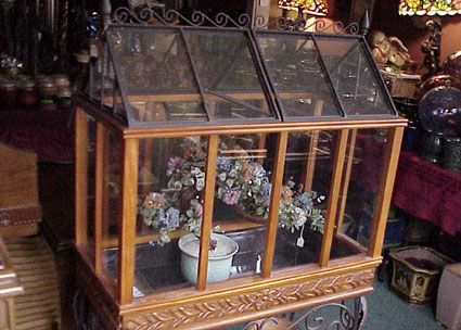 Wardian Cases GREAT website for interior plants and terrariums Diy Wardian Case Terrarium, Gingerbread Structures, Plant Houses, Giant Snails, Indoor Terrarium, Homemade Greenhouse, Terrarium Design, Quail Coop, Wardian Case