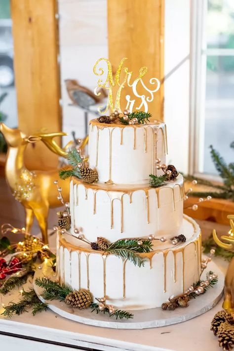 Wedding Cake Winter, Pictures Of Winter, Winter Wedding Cakes, Cake Winter, Christmas Wedding Cakes, Disney Wedding Cake, Elegant Winter Wedding, January Wedding, Wedding Cake Ideas