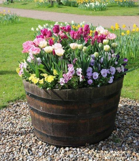 Garden Front Of House, Porch Flowers, Distant Memory, Barrel Planter, River Rocks, Garden Containers, Front Yard Garden, Container Flowers, Architecture Portfolio