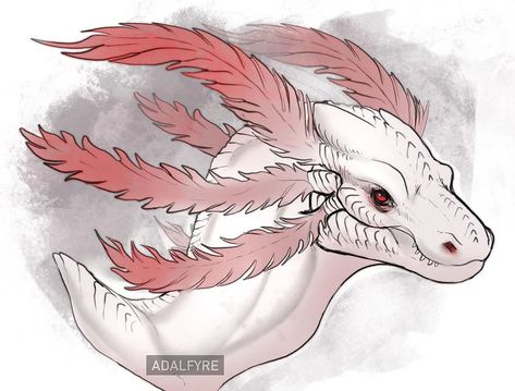 Dragon C, Dragon Sketch, Mythical Animal, Cute Fantasy Creatures, Fantasy Beasts, Creature Drawings, Monster Concept Art, Fantasy Creatures Art, Dragon Artwork