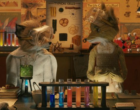 su cute Fantastic Mr Fox, Mr Fox, Ash, Lab, Fox, Books, Animals