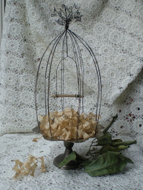 Great birdcage tutorial using old metal plate.  http://todolwen.blogspot.ca/search/label/bird%20cage Diy Wire Bird Cage, Bird Cage Ideas, Vintage Bird Cage Decor, Drátěná Socha, Wire Bird Cage, Wire Bird, Art Fil, Wire Diy, Bird Cage Decor