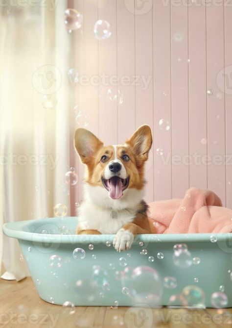 Cute Pembroke Welsh Corgi dog in a small bathtub with soap foam and bubbles, cute pastel colors, generative ai. Dog In Bathtub, Cute Pastel Colors, Soap Foam, Small Bathtub, Cute Pastel, Painting Inspo, Pembroke Welsh Corgi, Corgi Dog, Welsh Corgi