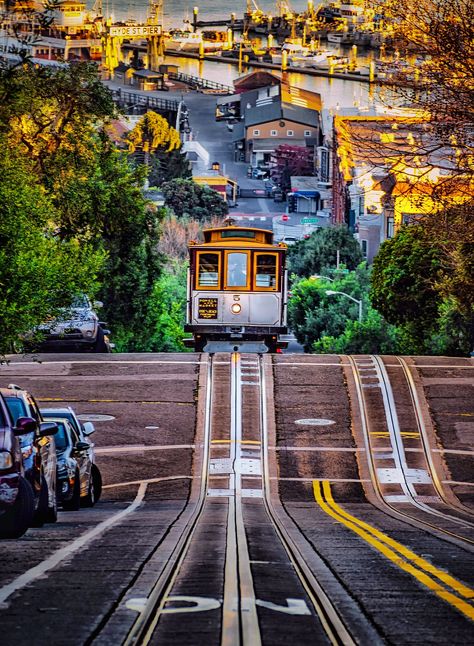 Barbary Coast, Press Photography, San Francisco Photography, San Francisco Cable Car, Japanese Tea Garden, King Gizzard, To Do In San Francisco, Car Stock, Cali Trip