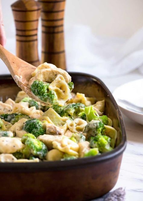 Family Favorite Casseroles, Crunchy Broccoli, Tortellini Alfredo, Favorite Casserole Recipes, Italian Cuisine Recipe, Dijon Chicken, Chicken Tortellini, Seared Chicken, Cheesy Chicken Broccoli