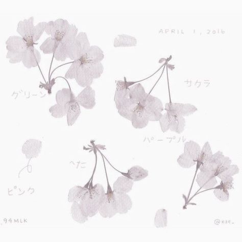 Pix Art, Sakura Tree, Gray Aesthetic, Instagram Feed Ideas, China Art, Oui Oui, Little Flowers, Phone Themes, Wallpaper Pc