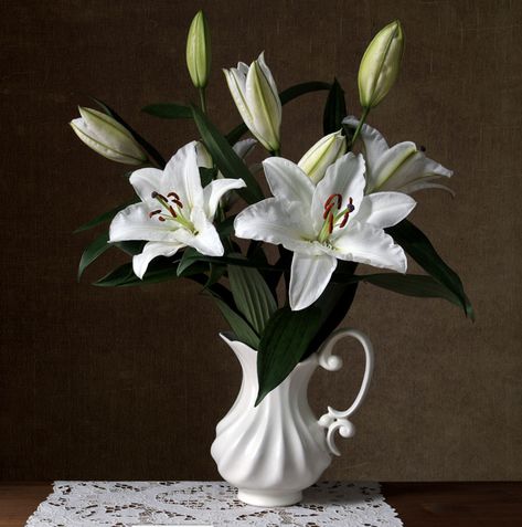 Photography Elements, Still Life Images, Day Lilies, Still Life Flowers, Still Life Photos, Still Life Art, Painting Videos, Still Life Painting, Still Life Photography