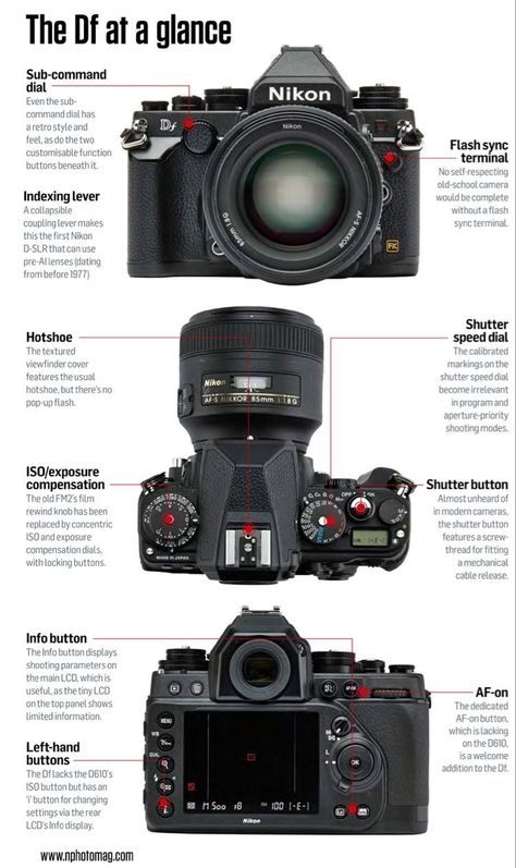 Beginner Photography Camera, Nikon Camera Tips, Camera For Photography, Camera Basics, Nikon Df, Best Camera For Photography, Manual Photography, Film Camera Photography, Digital Photography Lessons