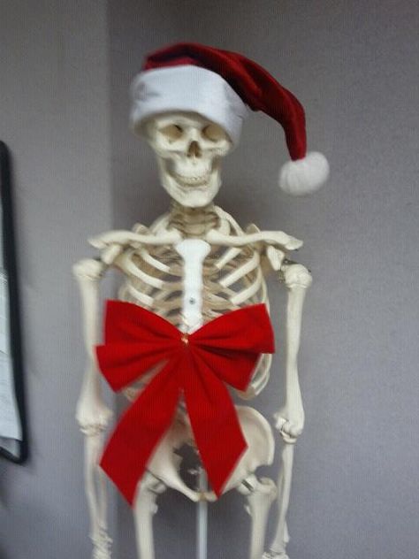 Mr. Bones says "Merry Christmas." Silly Skeleton, Mr Bones, Halloween Ideas, Skeleton, Bones, Merry Christmas, Holidays, Holiday Decor, Halloween