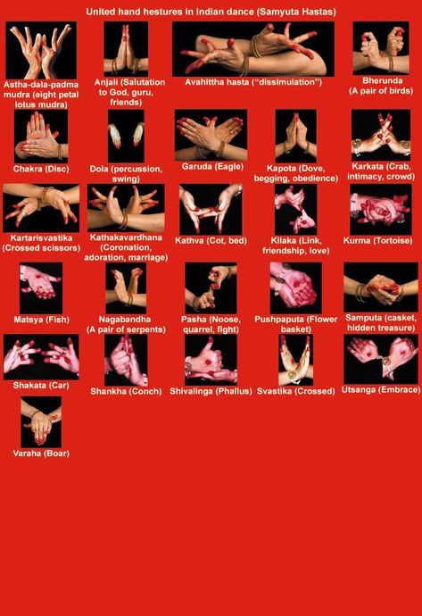 Samyuta hasta2 en 1 Kathak Hand Mudras, Bharatnatyam Hand Mudras, Dance Mudras, Bharatanatyam Dancer, Indian Classical Dancer, Bharatanatyam Poses, Dancing Poses, Kathak Dance, Hand Dancing