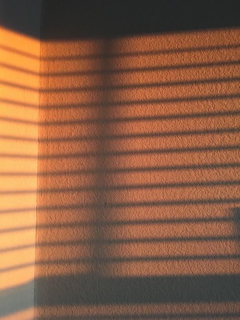 Light And Shadow Photography, Sunlight Photography, Sun Blinds, Joel Miller, Fotografi Vintage, Shadow Photography, Shadow Pictures, Photo Background Images, Sunset Wallpaper