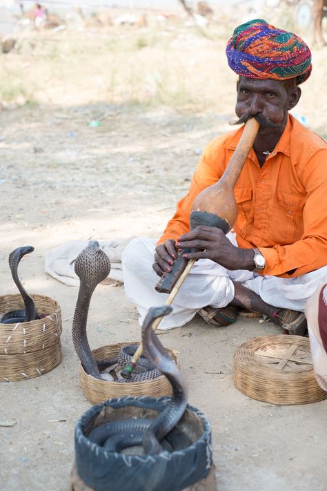 Snake Charmer, Agra India, Visit India, We Are The World, A Snake, South Asia, People Of The World, Incredible India, India Travel