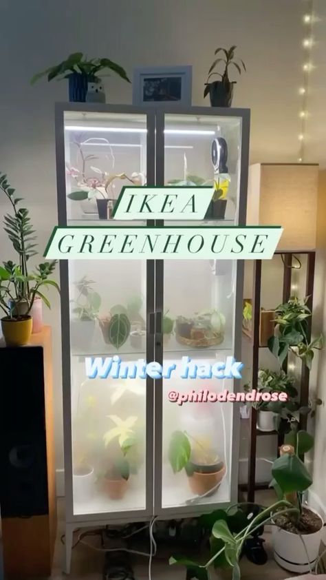 indoorplants_decor on Instagram: IKEA Greenhouse is the perfect plant hack for the winter ❄️, this is a smart hack for keeping plants thriving all through the colder darker… Mini Greenhouse Indoor, Ikea Greenhouse, Diy Mini Greenhouse, Ikea Plants, Winter Coming, Plant Goals, Indoor Greenhouse, Home Greenhouse, Greenhouse Plants