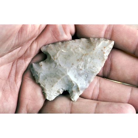 You can find out a lot about an arrowhead you have found, if you know what to look for. Here are some tips. Native American Knowledge, Native Artifacts, Adventure Goals, Indian Stone, Woodland Indians, Native American Tools, Rock Collecting, Arrowheads Artifacts, Arrow Heads