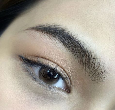 Pmu Brows, Eyebrow Extensions, Bentuk Alis, Eyebrow Design, Brow Tattoo, Eyelash Logo, Beautiful Eyebrows, Eyelash Extensions Styles, Makeup Eyebrows