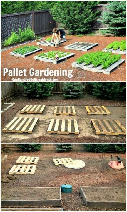 Pallet Garden Projects, Diy Pallet Garden, Beautiful Raised Garden Beds, Palette Garden, Diy Garden Landscaping, Pallet Gardening, Pallet Projects Garden, Raised Garden Beds Diy, Garden Crafts Diy