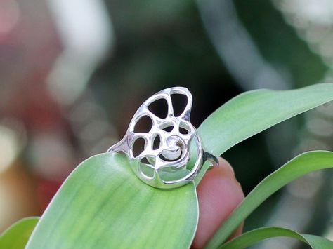 Silver Nautilus Ring by Vulcan Jewelry, 3D printed in silver #3dprinting #silver Fashion Jewelry Editorial, Seashell Ring, Shell Jewellery, Cast Rings, Ocean Collection, 3d Printed Jewelry, Jewelry Editorial, High Fashion Jewelry, Ocean Jewelry