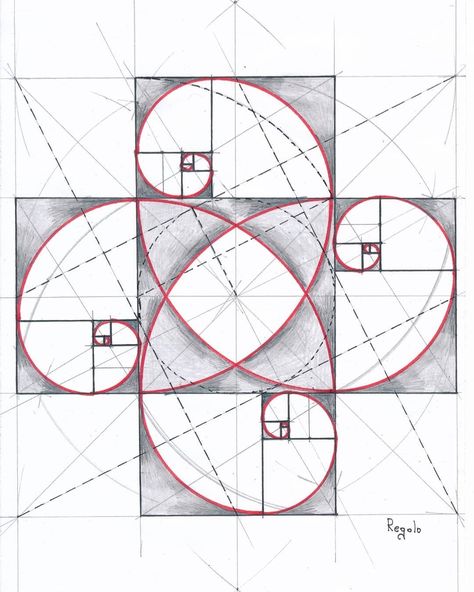 @regolo54 Fibonacci Spiral Art, Fibonacci Art, Square Geometry, Animals Tattoos, Tattoos Quotes, Sacred Geometry Patterns, Spiral Art, Perspective Drawing Lessons, Fibonacci Spiral