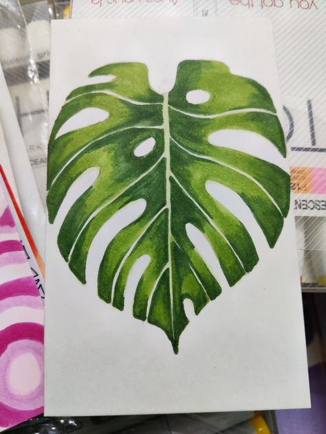 Monstera Leaf Monsters Leaf Painting, Monstera Drawn Simple, How To Draw Monstera Leaf, Aqua Markers Art, Monstera Drawn, Copic Marker Art Ideas, Monstera Leaf Drawing, Monstera Leaf Painting, Plant Leaf Identification