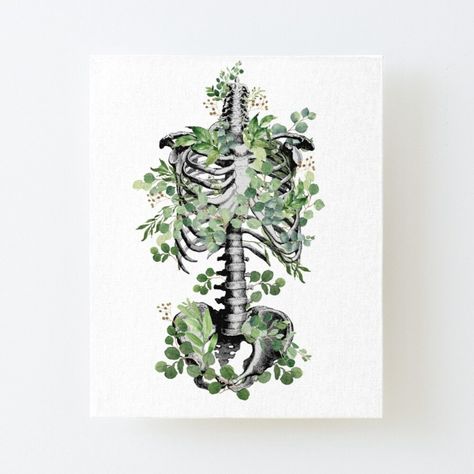 Botanical anatomy, rib cage, pelvis, eucalyptus leaves floral skeletonBotanical anatomy, rib cage, pelvis, eucalyptus leaves floral skeleton Rib Cage Drawing, Botanical Anatomy, Rib Cage Anatomy, Brain Funny, Anatomy Skeleton, Love Skeleton, Floral Skeleton, Ribcage Tattoo, Skeleton Tattoos